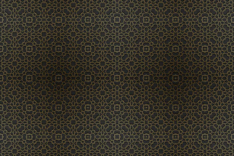 African Night Background